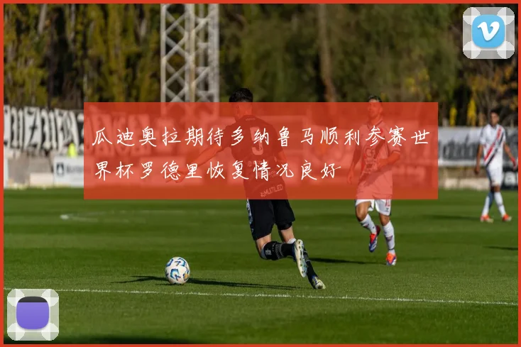 瓜迪奥拉期待多纳鲁马顺利参赛世界杯罗德里恢复情况良好