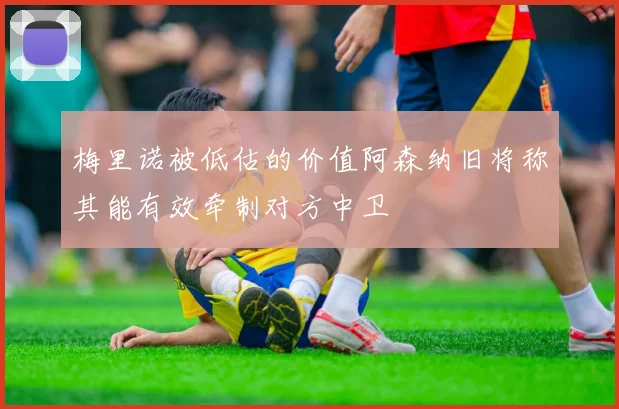 梅里诺被低估的价值阿森纳旧将称其能有效牵制对方中卫
