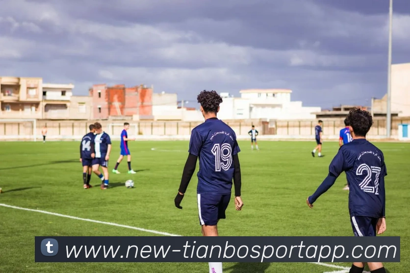 天博足球平台生态图