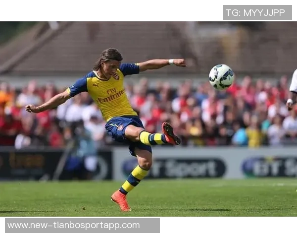 前阿森纳青训球员维加不幸身亡围墙已被拆除引发广泛关注 前阿森纳青训球员维加不幸身亡围墙已被拆除引发广泛关注